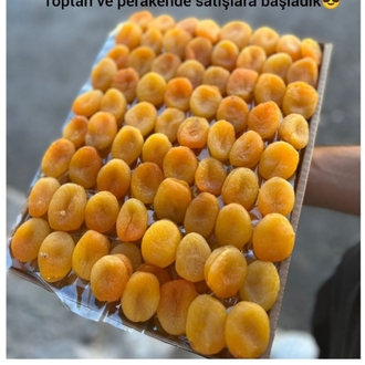 şekerpare jumbo kayısı