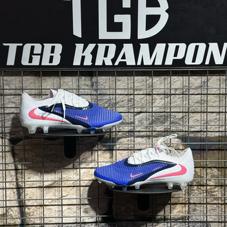 New Phantom 2026 TamProf