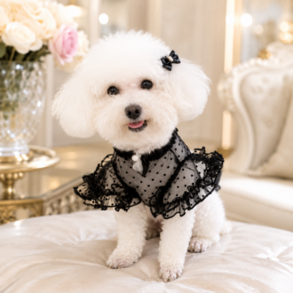 Siyah Puantiyeli Tül Köpek Bluzu