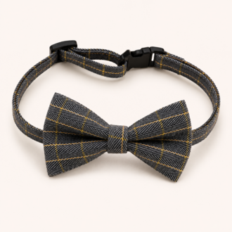 Gentleman Bow Tie Collar