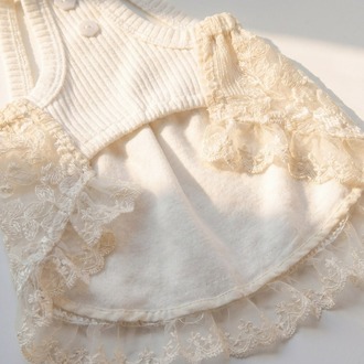 Luxury Vintage Dantel Elbise | The Dog Store