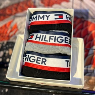 TOMMY HİLFİGER PREMİUM BOXER