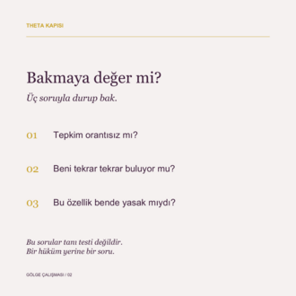 Gölge Çalışması — Reddettiğin Yan | 10 Sesli Bölüm + El Kitabı + Gölge Defteri