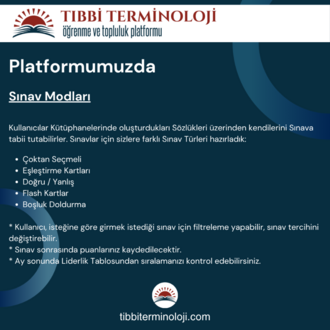 Gümüş Paket