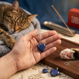 Kalpli Lapis Lazuli Doğal Taş Çelik Kolye
