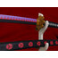 Zoro - Black Blade Shusui Katana Seti