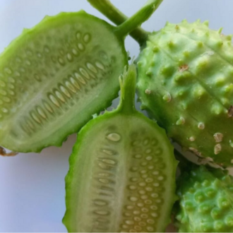10+ Adet Geleneksel Kirpi Salatalık Tohumu