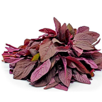 300+ Adet Kırmızı Amaranth Tohumu - Red Garneth Amaranth
