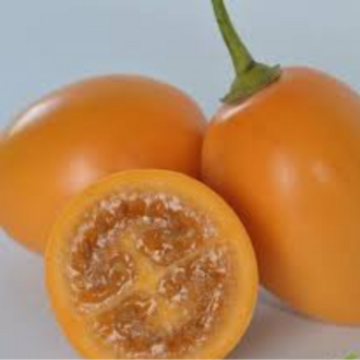 5 Adet Turuncu Tamarillo Domates Ağacı Tohumu- Sadece Tohum Dünyasında