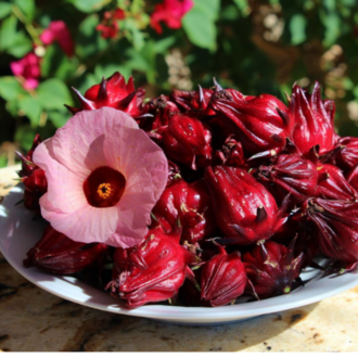 10+ Adet Roselle Hibiscus- Kerkede Şifalı Bitki Tohumu