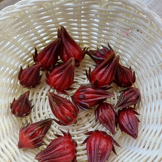 Çay hibiskus