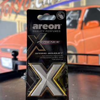 AREON X ARAÇ KOKUSU