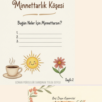 Farkındalık Günlüğü 