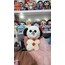 Peluş Chimmy