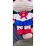 Sailor Moon Usagi 