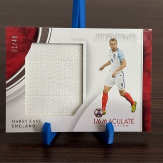 Harry Kane 2017 Panini Immaculate Soccer | Maç Forması /49