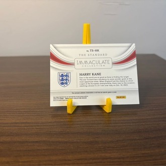 Harry Kane 23-24 Panini Immaculate | Maç Forması Patch Kartı /49