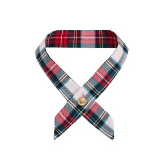 Check Tie