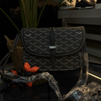 Goyard Paris Bag