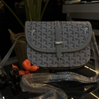 Goyard Paris Bag