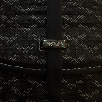 Goyard Paris Bag