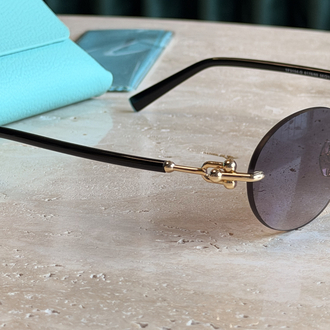 Tiffany & Co Güneş Gözlüğü