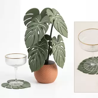 Monstera Bardak Altlığı