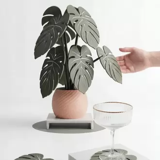 Monstera Bardak Altlığı