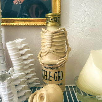 Harry Potter Skele-gro