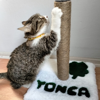 İsimli Kedi Tufting Tırmalama Tahtası
