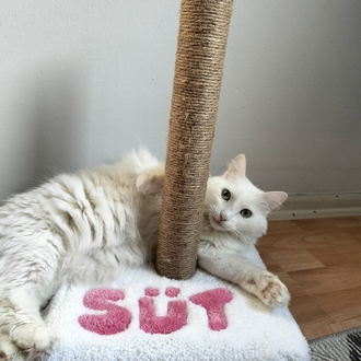 İsimli Kedi Tufting Tırmalama Tahtası