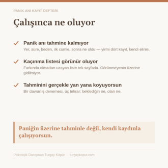 Panik Anı Kayıt Defteri