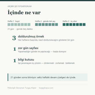 Hiçbir Şey İstemiyorum — Düşük Enerji Çalışma Defteri