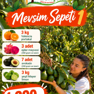 Mevsim Sepeti 1