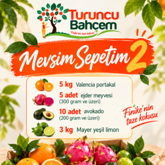 Mevsim Sepeti 2