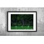 Küçük Ak Balıkçıllar 40x60 Fotoğraf Baskı
