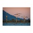 Tepeli Pelikanlar 40x60 Fotoğraf Baskı