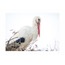 Adem&Yaren 2 40x60 Fotoğraf Baskı