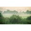 Gölde Bir Sabah 40x60 Fotoğraf Baskı