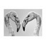 Flamingo (3) 40x60 Fotoğraf Baskı