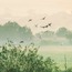 Gölde Bir Sabah 40x60 Fotoğraf Baskı
