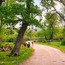 Longoz 40x60 Fotoğraf Baskı