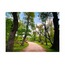 Longoz 40x60 Fotoğraf Baskı