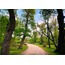 Longoz 40x60 Fotoğraf Baskı