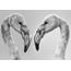 Flamingo (3) 40x60 Fotoğraf Baskı
