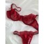 Alisa bra takım 