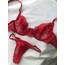 Alisa bra takım 