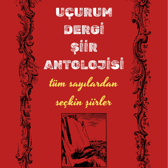 ÖZEL SEÇKİ ŞİİR ANTOLOJİSİ- ( 2 adet ve üzeri siparişlere poster hediyeli)
