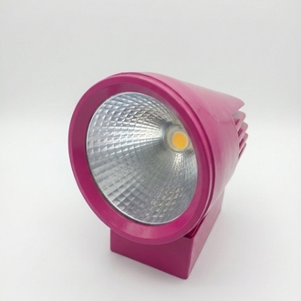 40W Led Monofoze Ray Spot