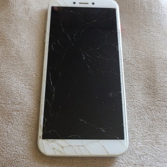 General Mobile 9 Go (GM9 Go)